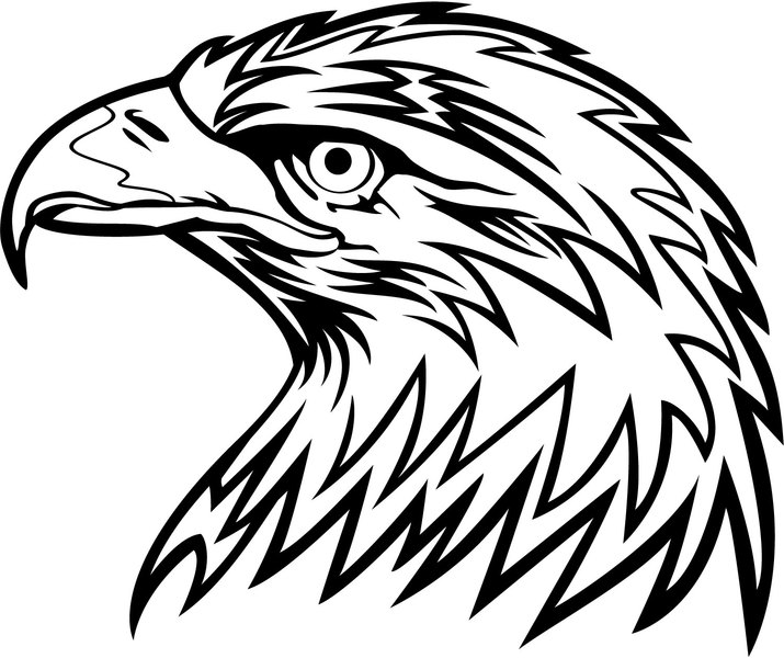 715x600 Eagle Head Clip Art, Free Eagle Head Clip Art