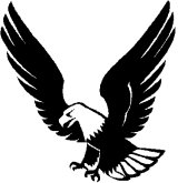 160x165 Eagles Clipart