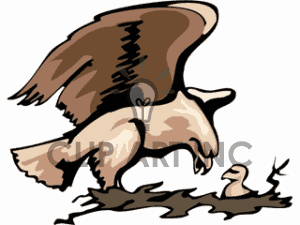 300x225 Eagle Clipart Eagles Nest