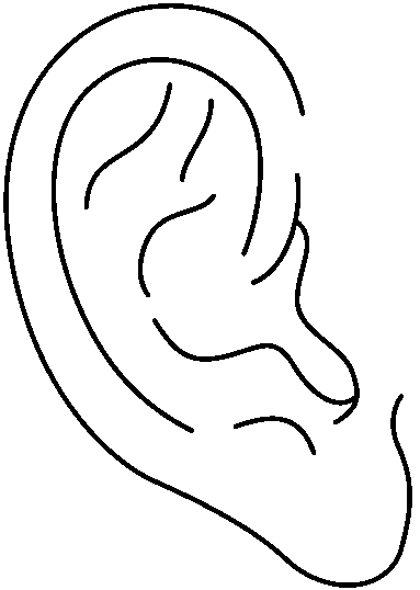 383x538 Ears Clipart