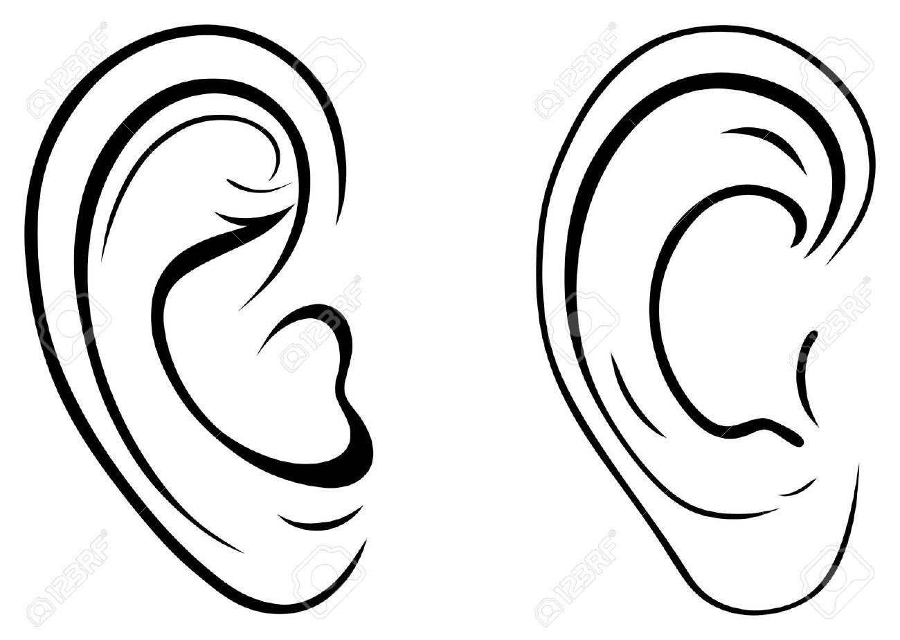 1300x925 Free Clipartt Human Ear