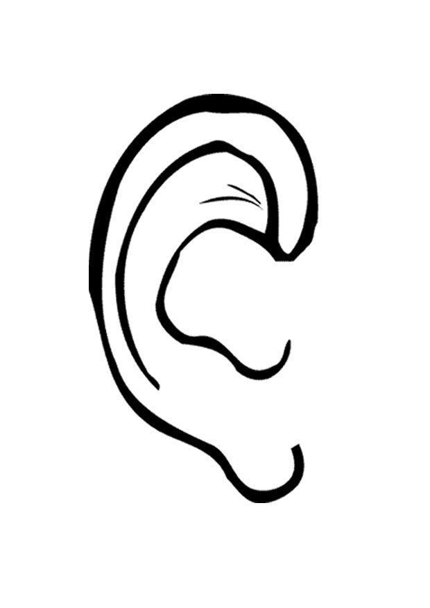 620x875 Left Ear Clipart Free Clip Art Images Image 2