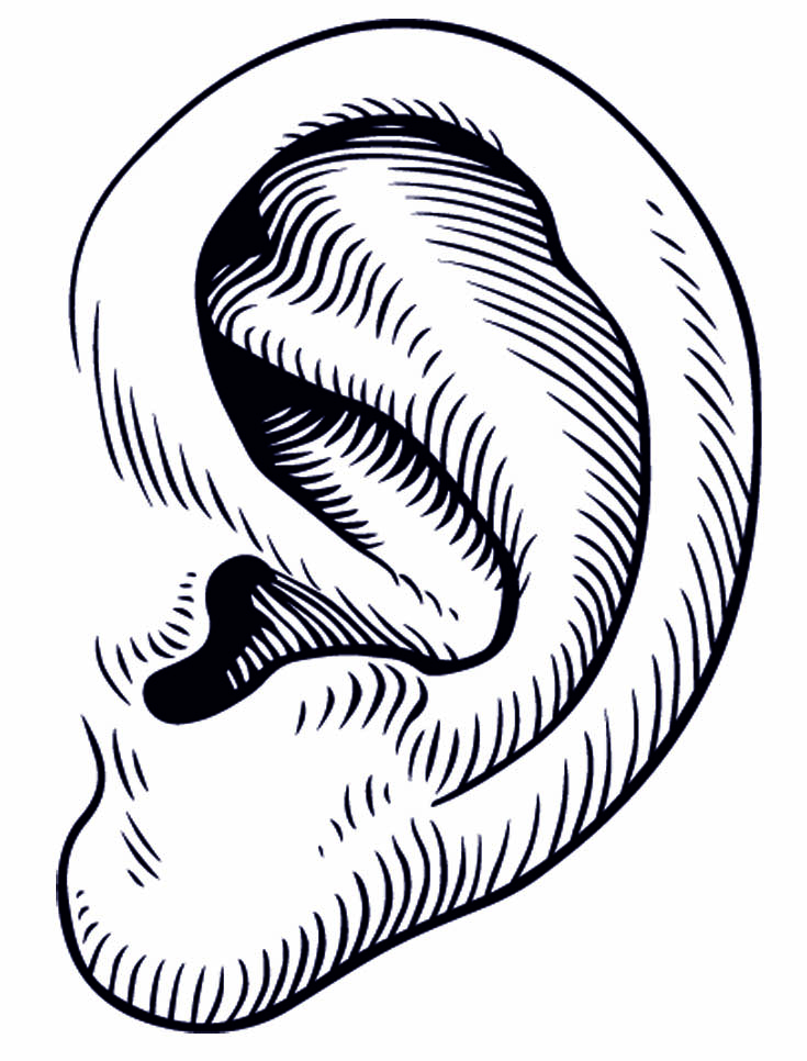 Ear Clipart Black And White Free download on ClipArtMag