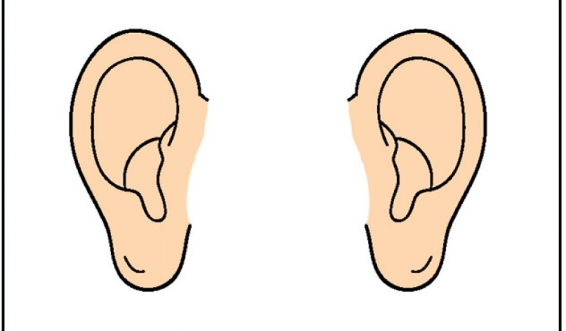 820x480 Ear Clipart