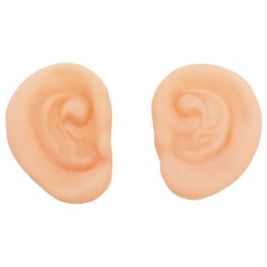 300x300 Clip Art Of An Ear Clipart Image