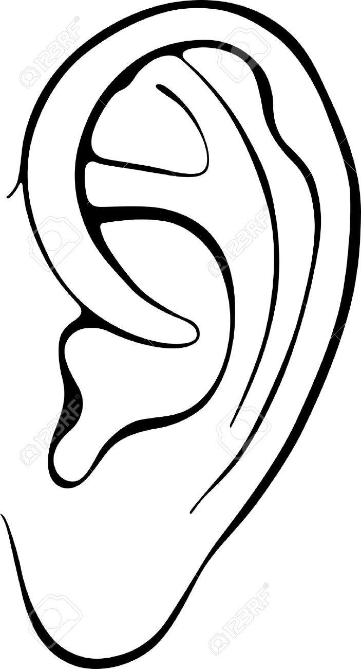 703x1300 Ear Clipart Black And White Png