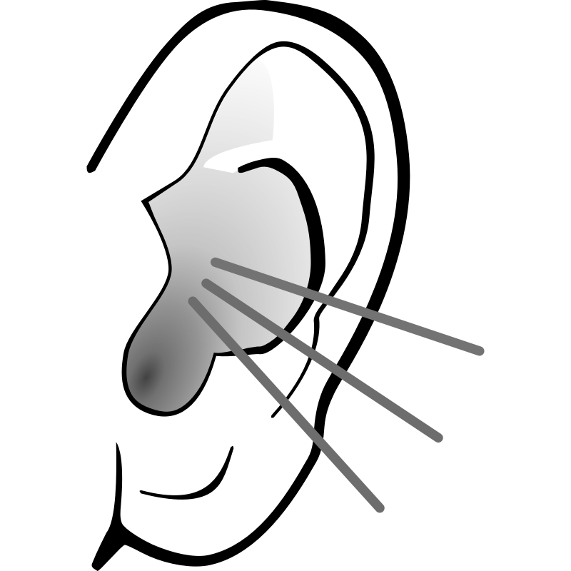 800x800 Listening Ear Clipart 2