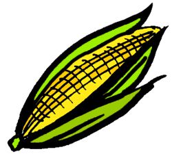 Ear Of Corn Clipart