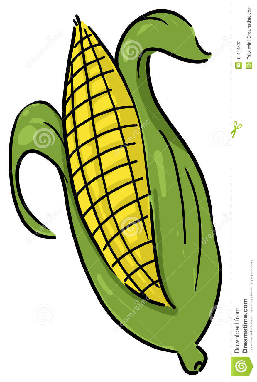 Ear Of Corn Clipart Free download on ClipArtMag