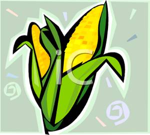 300x270 Golden Ears Of Corn Clip Art Image