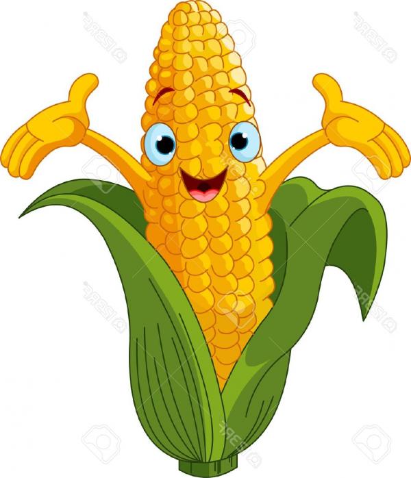 Ear Of Corn Clipart | Free download on ClipArtMag