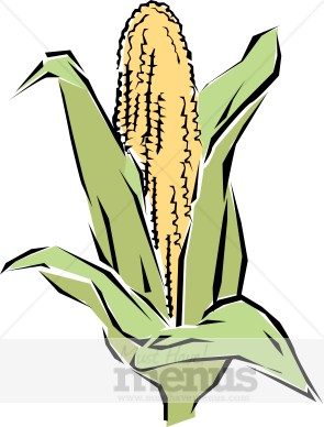 295x388 Corn Clip Art Vegetable Clipart
