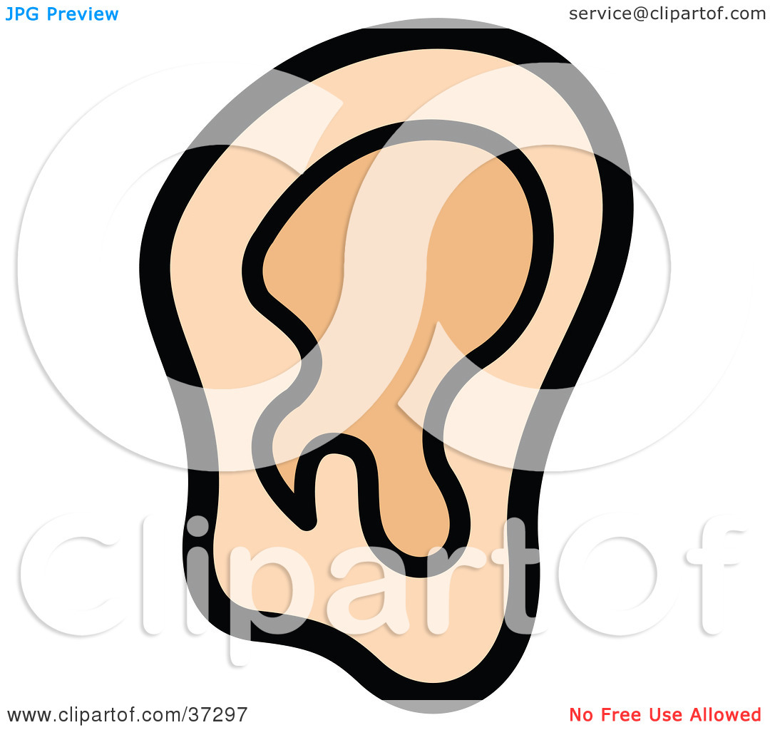 1080x1024 Ears Clip Art