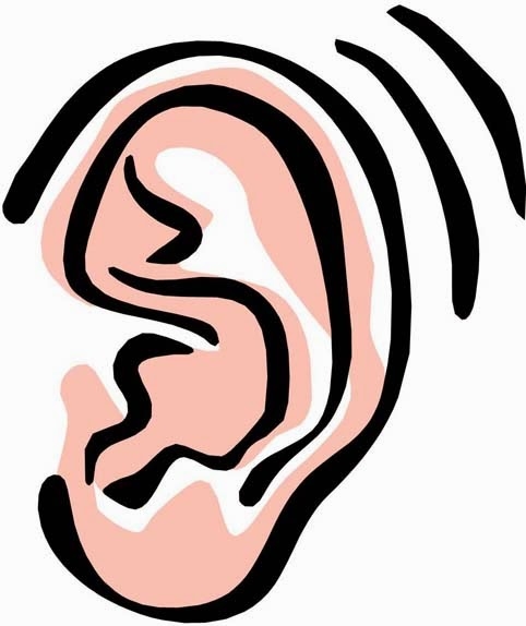 482x574 Ears Clipart