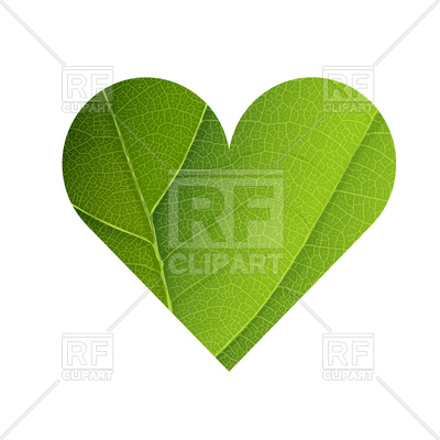400x400 Green Leaf Veins Texture Heart Shaped