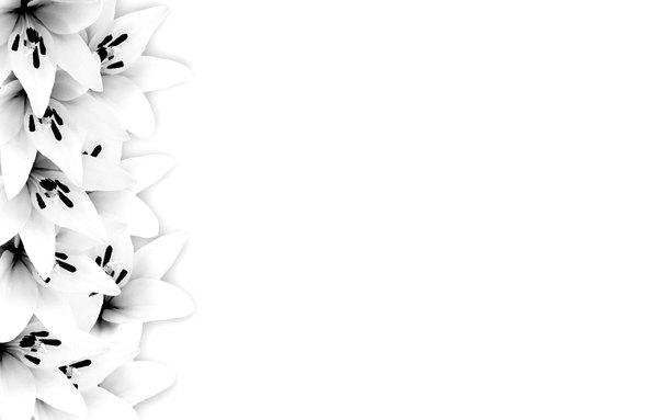 600x383 Free Stock Photos