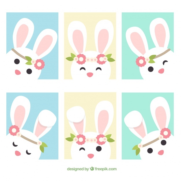 626x626 Bunny Vectors, Photos And Psd Files Free Download