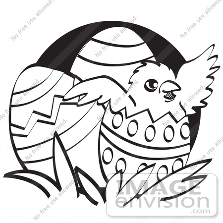 450x450 Royalty Free Cartoon Cliprt Baby Chicken Hatching Out