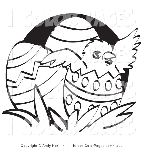 600x620 Vector Coloring Page A Blackd White Chick Hatching Out