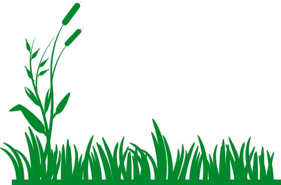 564x372 Clip art backgrounds and borders Grass Background Clip Art