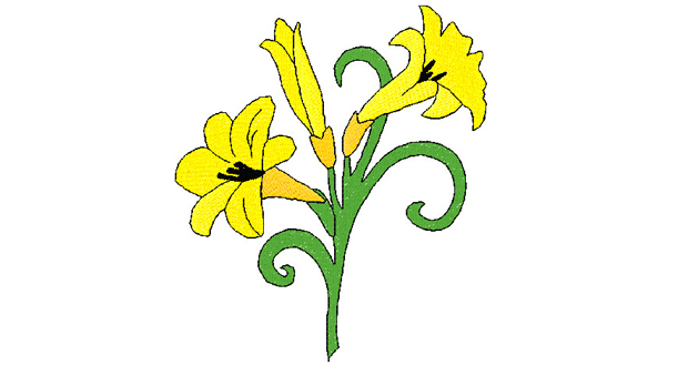 620x330 Graphics For Easter Lily Graphics