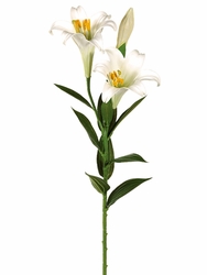Easter Lily Images