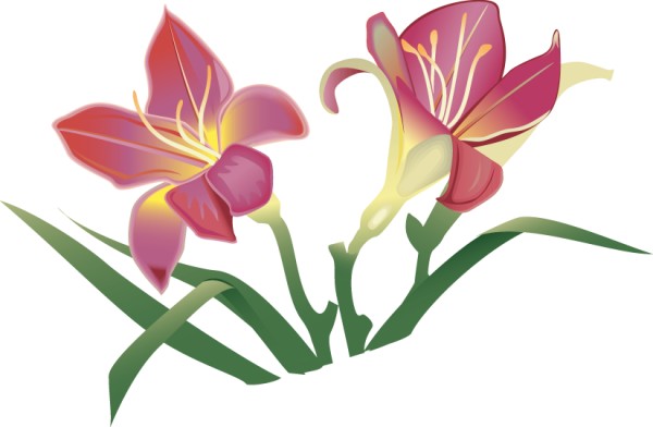 600x392 Graphics For Easter Lily Memorial Graphics