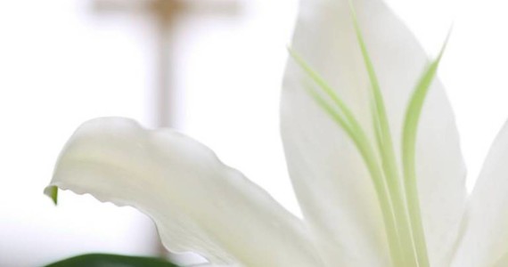 570x300 Index Of Wp Contentuploads201603