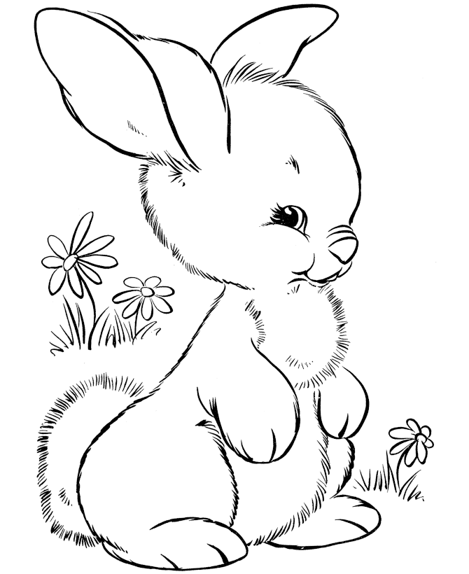 670x820 Easter Bunny Face Coloring Pages Many Interesting Cliparts