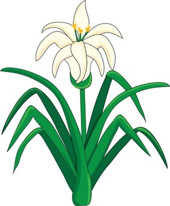 248x300 Easter Lilies Clipart