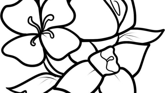 Easy Drawings Of Flowers | Free download on ClipArtMag