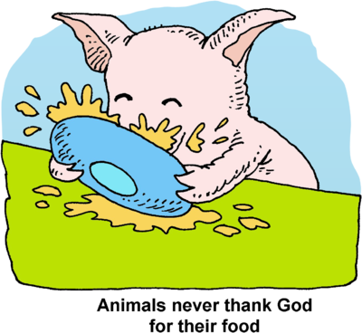400x368 Image Download Thankless Pig