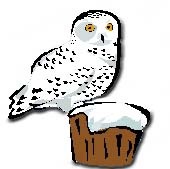 170x169 Snowy Owl Clip Art