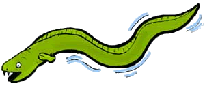 300x126 Eel Clip Art Free Clipart Panda