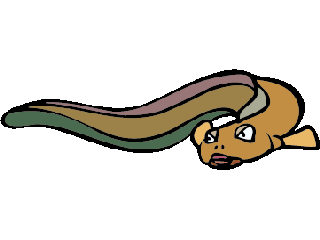 320x240 Eels Clipart Animated