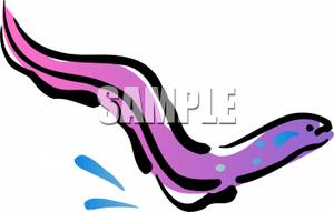 300x191 Pink And Purple Eel Clip Art Image