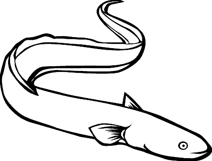 699x533 Eel Clipart Black And White