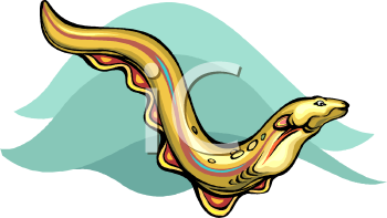 350x197 Eel Clipart Fin