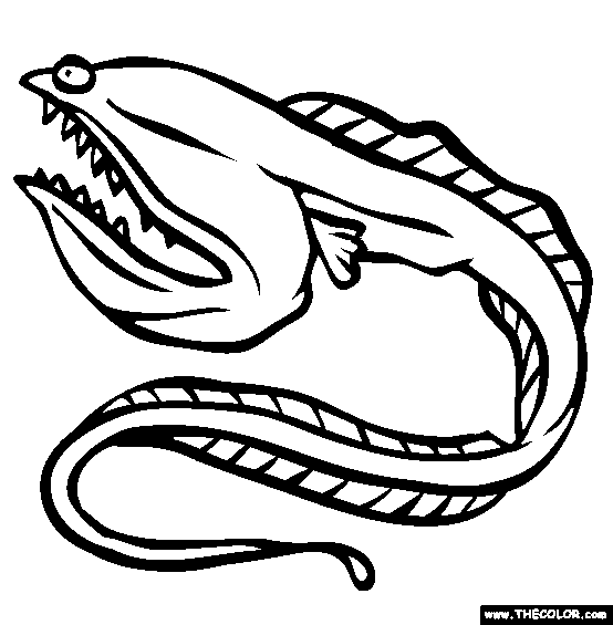 554x565 Eel Clipart Free Clipart Images