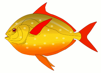 340x247 Free Fish Clipart, 3 Pages Of Public Domain Clip Art