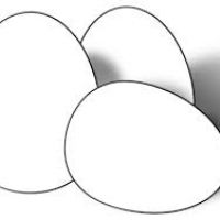 200x200 Egg Clipart