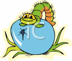 300x255 Clipart Illustration Of A Caterpillar Sitting On Egg