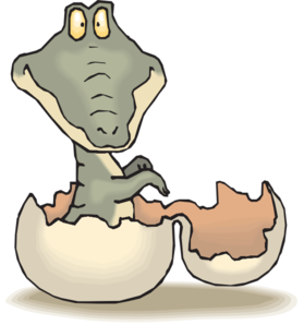 279x298 Alligator Hatching Clip Art