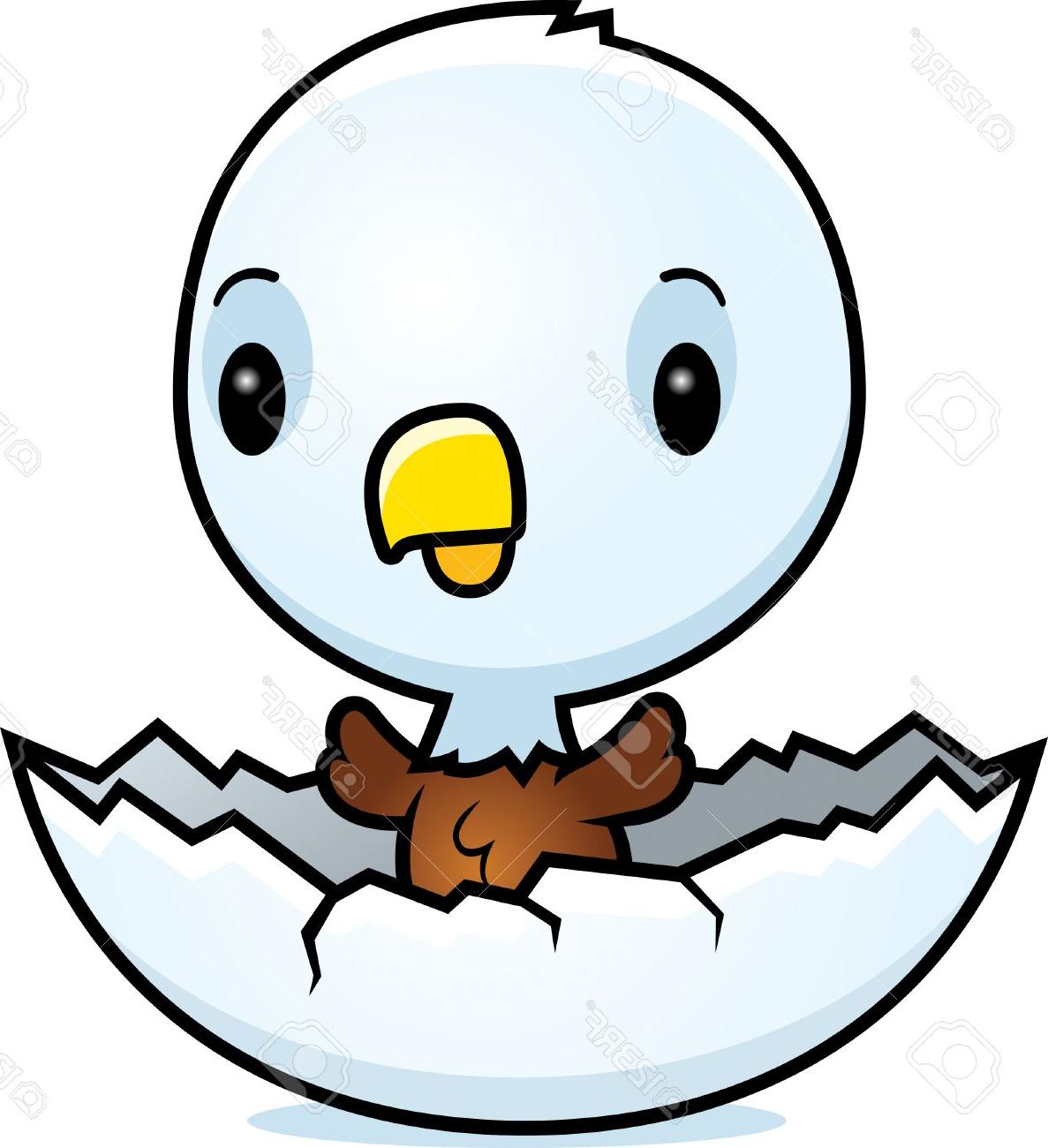 1187x1300 Top 10 Cartoon Illustration Of Baby Eagle Hatching From An Egg