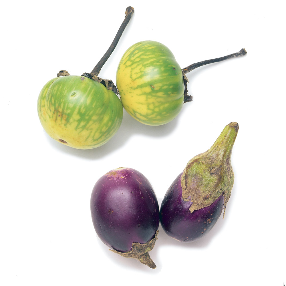 1000x1000 Eggplant