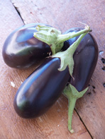 148x197 Eggplant