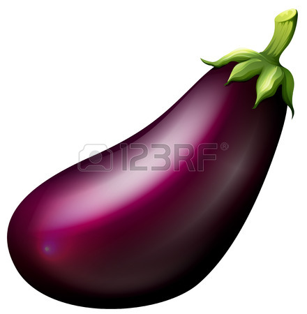 440x450 Eggplant Tree With Leaves And Roots Illustration Royalty Free