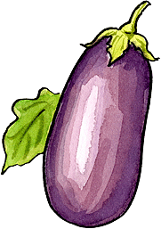 181x257 Growing Eggplant