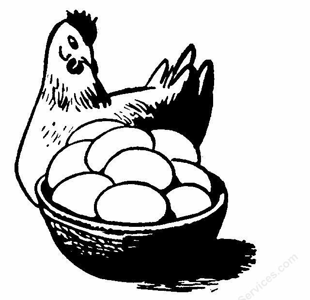 640x619 Chicken Egg Clipart, Explore Pictures