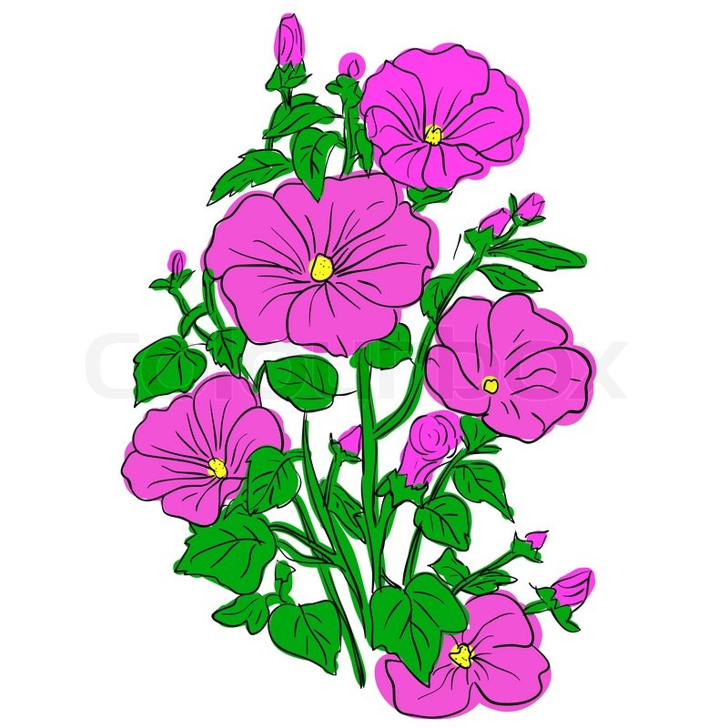 800x800 Beautiful Clipart Flower Bouquet